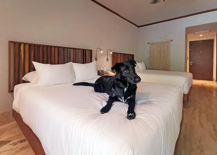 Aluna Hotel