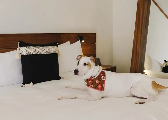 Aluna Hotel